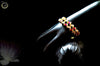 B019_Gorgeous Gold plated Bangles studded with white and pink ruby stones set of 2