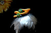 B031_Gorgeous 1 gm Gold plated bangles studded with green ruby stones.
