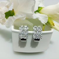 E0304_Premium American Diamond  Earrings