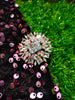 R046_Gorgeous Square design  statement ring  studded with American Diamond stones.