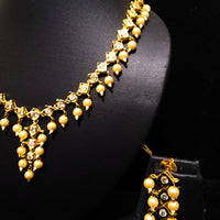 Elegant Necklace studded with American Diamond & classy Pearls