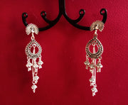 E0381_ Smashing German Silver oxidized crafted peacock design danglers with  small jumka  drops (long hangings).