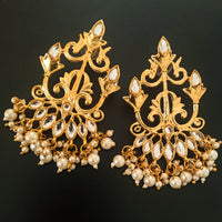 E0535_Classy meenakari dangers studded with kundan stones with a touch of pearls.