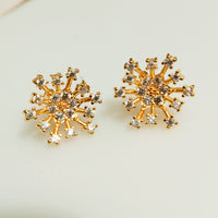 E0813_Beautiful star shaped studs with a touch of delicate stone work.