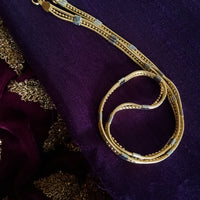 N0304_ Lovely dual tone neck chain with a delicate design.