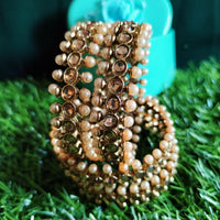 B0248_Lovely designer bangles with delicate craft work with a touch of stones & beads.