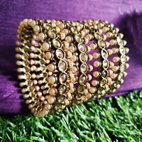 B0248_Lovely designer bangles with delicate craft work with a touch of stones & beads.