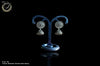 Silver oxidized jumki earring  work for a stunning and stylish look.